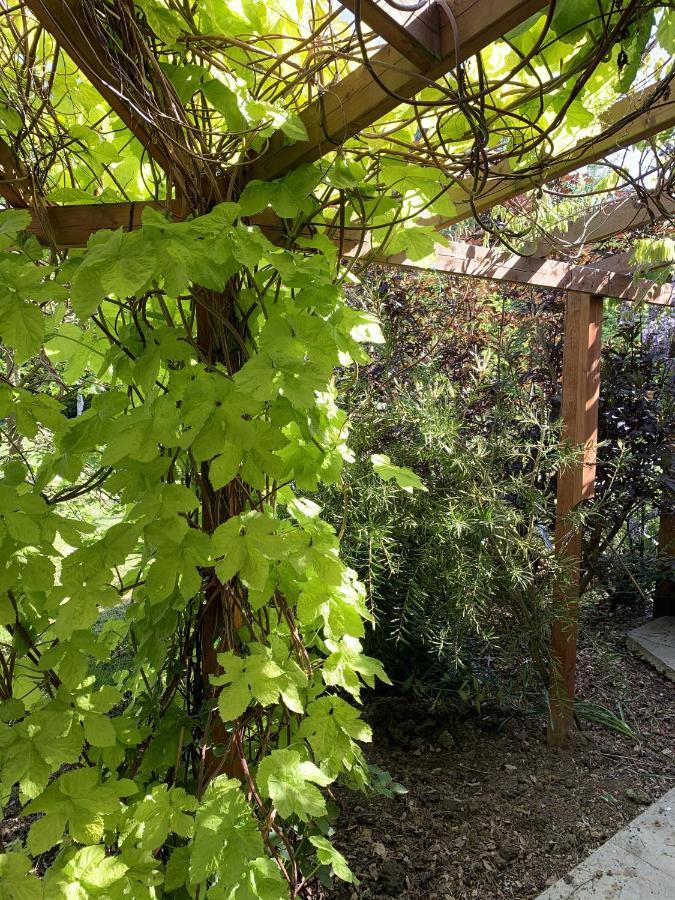 Woodpaddock Bed & Breakfast Марч Экстерьер фото